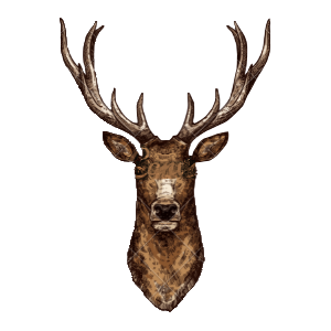 Woostify mobile logo